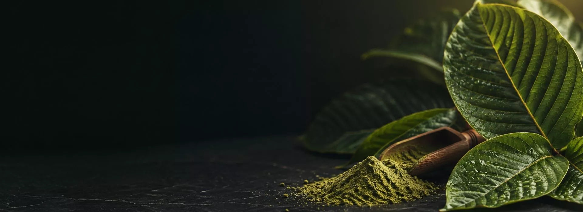Kratom-Blätter und Pulver auf dunklem Grund – KI-generiertes Symbolbild