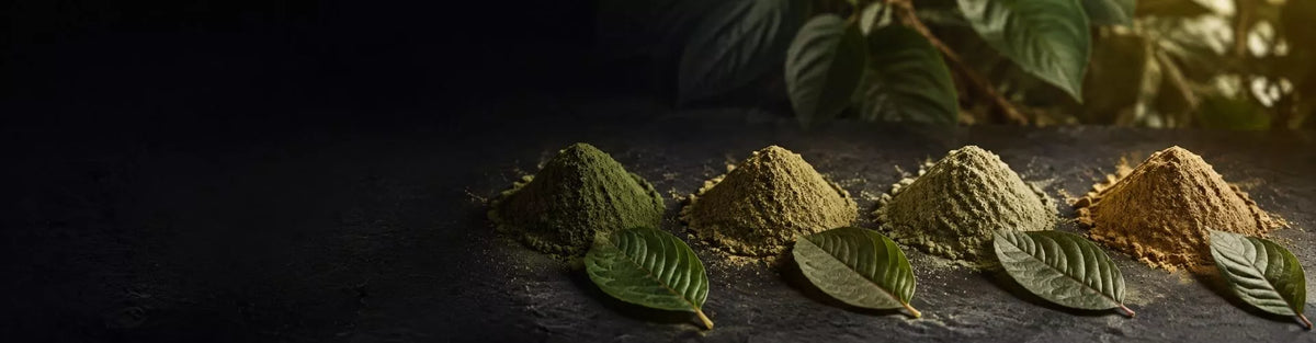 Vier Kratom-Pulver in verschiedenen Farbtönen mit Blättern – KI-generiertes Symbolbild