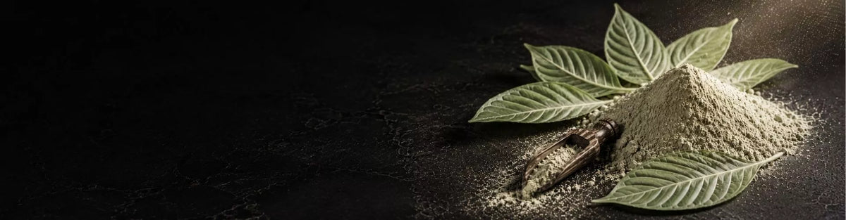 Helles Kratom-Pulver mit jungen, hell geaderten Blättern – KI-generiertes Symbolbild