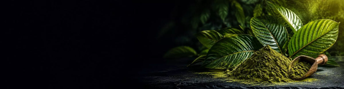 Leuchtend grünes Kratom-Pulver mit frischen Blättern – KI-generiertes Symbolbild