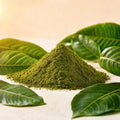 Premium Green Kratom – Kratompulver, fein gemahlen