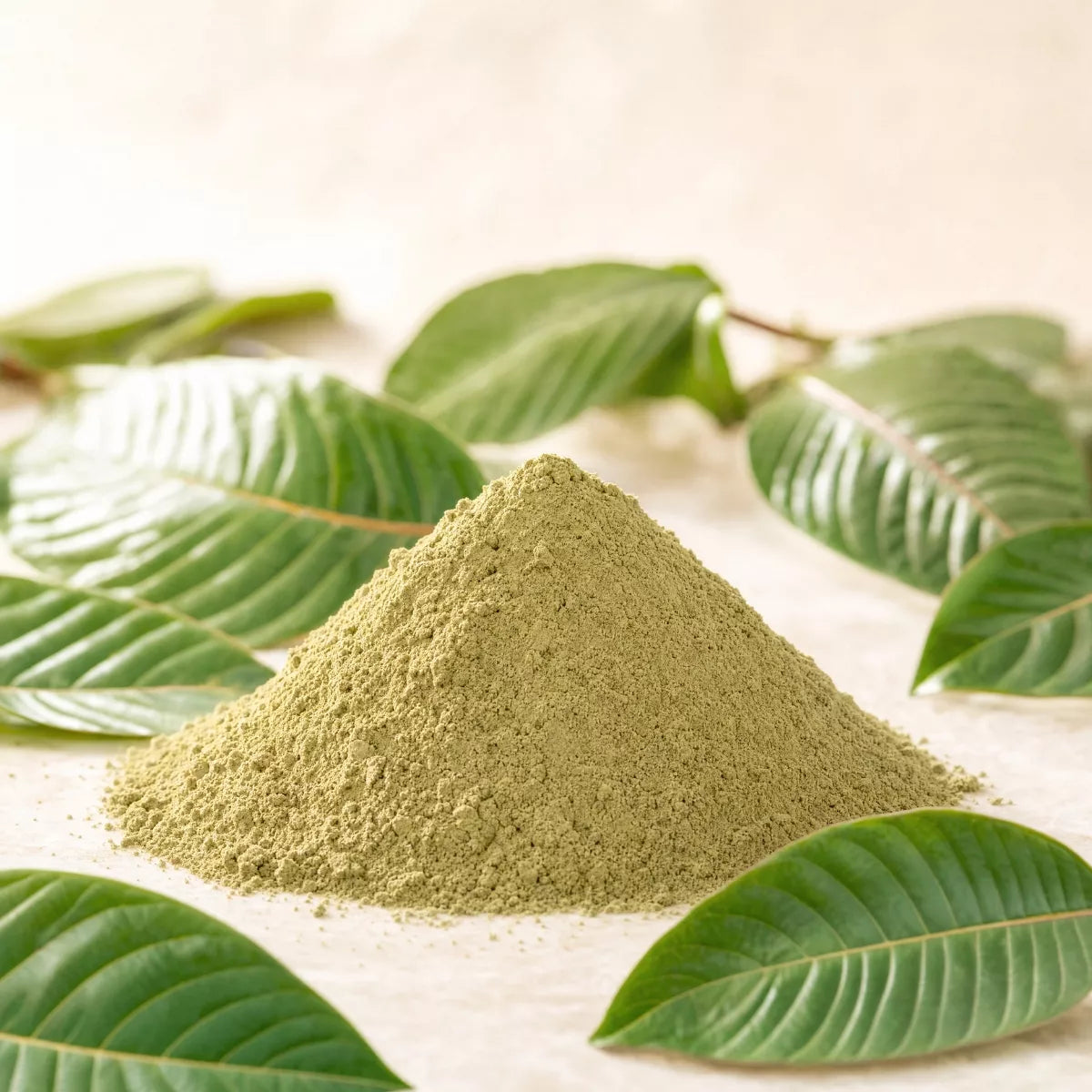 Kratom White Dragon